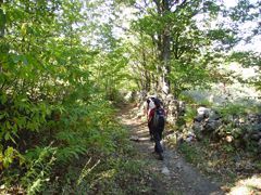 Camino de Candelario a Llano Alto Camino de Candelario a Llano Alto