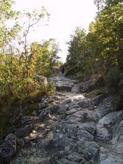 Camino de Candelario a Llano Alto Camino de Candelario a Llano Alto