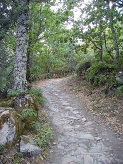 Ruta de la Dehesa de Mogarraz Ruta de la Dehesa de Mogarraz