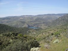 Camino de la barca. Vilvestre