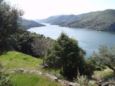 Camino de la barca. Vilvestre. Camino de la barca. Vilvestre.
