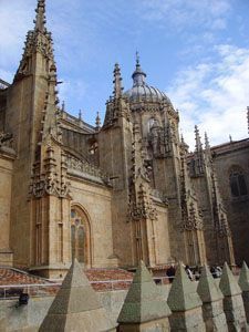 Ieronimus, las Torres Medievales de la Catedral de Salamanca.