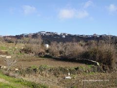 Saucelle