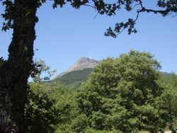 Camino del Peñasco. El Casarito Camino del Peñasco. El Casarito