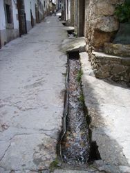 Regaderas Regaderas