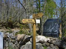 Ruta de Los Castaños. El Puerto de Béjar.
