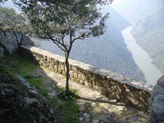 Mirador de la Code. Mieza