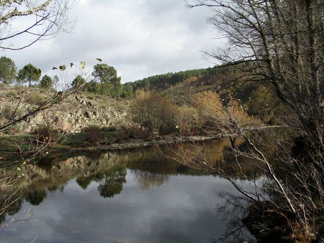 Ruta del Pinar de Descargamaría. Robleda