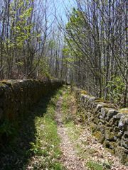 Ruta de Mazagatos. El Puerto de Béjar