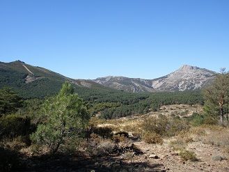 Ruta del Bosque. La Alberca