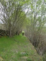 Sendero Circular Las Merchanas - Colmenar. Lumbrales