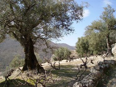 Ruta Asentadero-Bosque de los Espejos. San Martín del Castañar-Sequeros-Las Casas del Conde