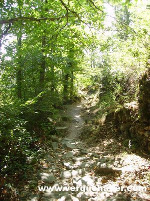 Camino del agua. Mogarraz
