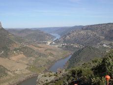 Ruta de la peña la Vela. Hinojosa de Duero