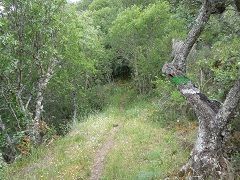 Ruta de Rupurupay. Aldeadávila de la Ribera