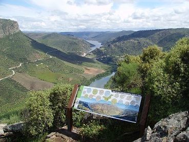 Mirador de la Peña de La Vela. Hinojosa de Duero